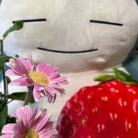 オリジナル楽曲 - ヤマゴン