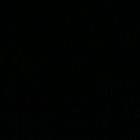 pao_g3x