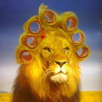 koky.113