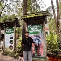 one direction strong speed up