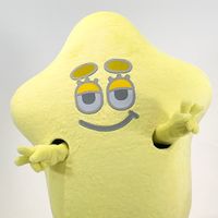 stapy_sdp