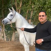 waled_aboeldahab