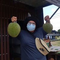 koy_panad