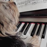 pianover.戯言スピーカー