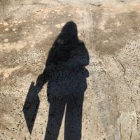 demon_lyyy