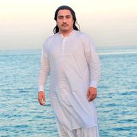 ziaudinkhan695