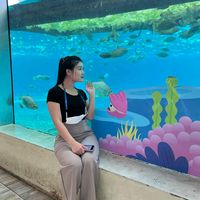 chithsu222