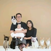 puspininkorea