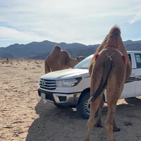 original sound - zz5_g