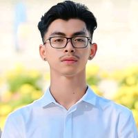 vdfan29