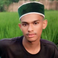 amirhamzassk