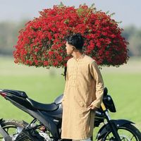 arafat_khan13