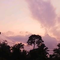 suara asli