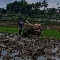 suara asli - kang Andri