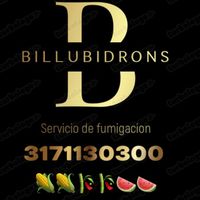 billubisdrons
