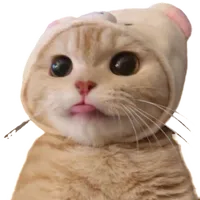 소리없는음원 오사금지