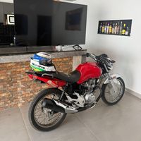 delfino2440