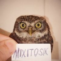 mixitosik