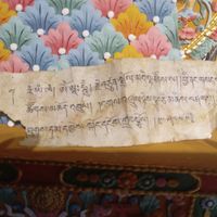 pema.kinzang
