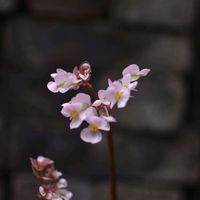 kiemhiep.kimdung