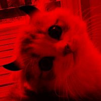 ferreirared