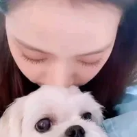 original sound - gd.zzw