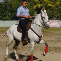 osmanchavez03