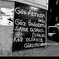adana4281