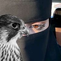 di_ha_6