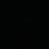 alarcon_297