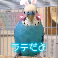 オリジナル楽曲 - Rate