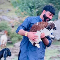 original sound - abbaso_syco_1