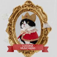 lucona.munchkins