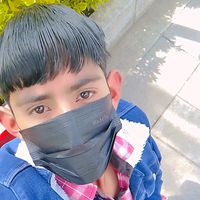 davi573042torerolbs