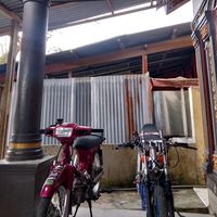 choky.pranata