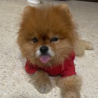 original sound - 🧌