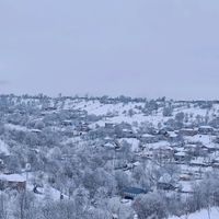anar_aliyev_official