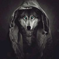 esgerov___official