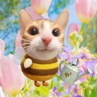 winnaraaza