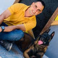 .dogs_training