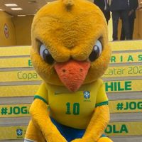 futebo17