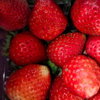 suara asli - ❤️‍🔥