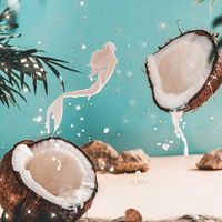 xx_coconut_bliss_xx