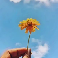 original sound - sab.kuch.relatable