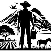 3lvis_gt_agro19