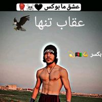 mohammadqasimsaro
