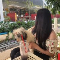 ts_misstheoldus