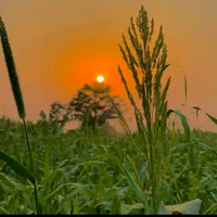 original sound - shahidwrites.sattoki