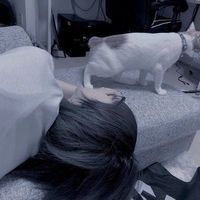 オリジナル楽曲 - tyuni ໒꒱