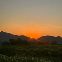 original sound - callmepaczo